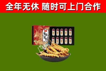 龙凤烟酒回收冬虫夏草礼盒.jpg